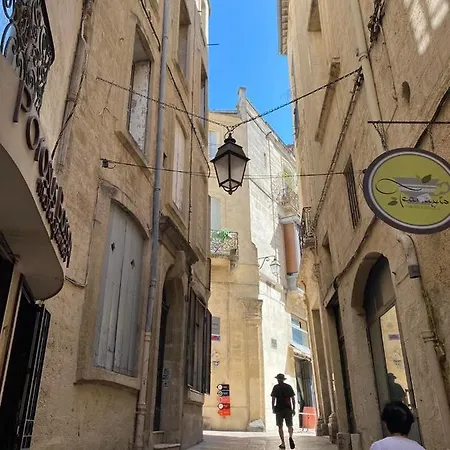 Hirondelle De Montpellier Apartment Exterior photo