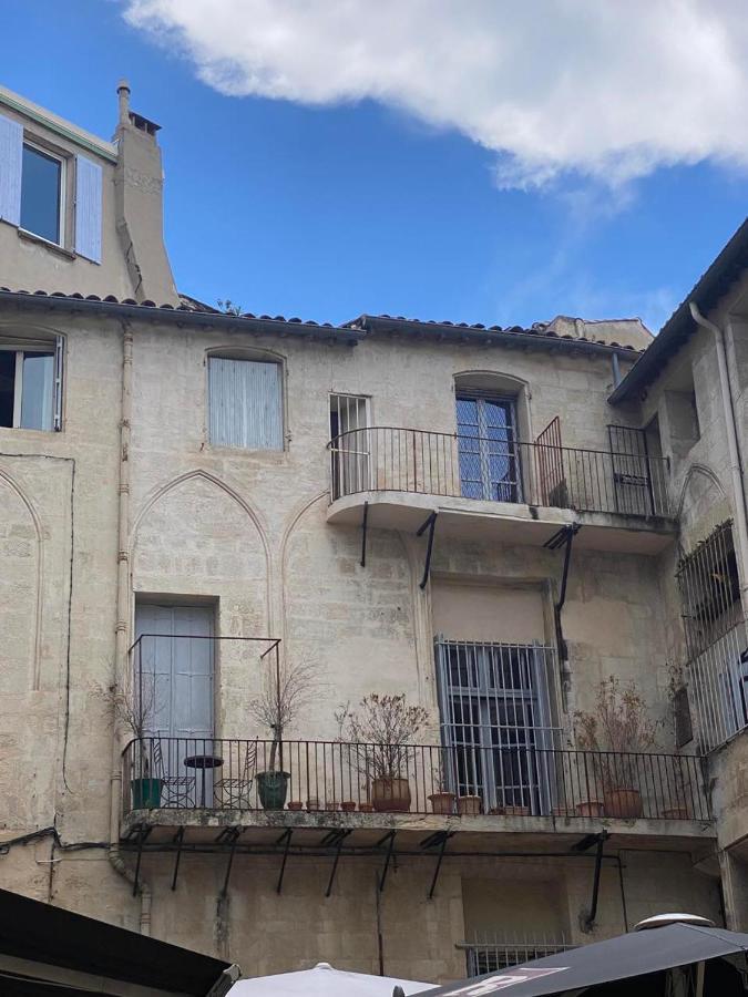 Hirondelle De Appartement *